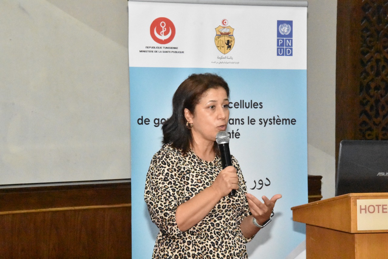 UNDP-POGAR: Activities and Projects: Arab Anti-Corruption and Integrity ...
